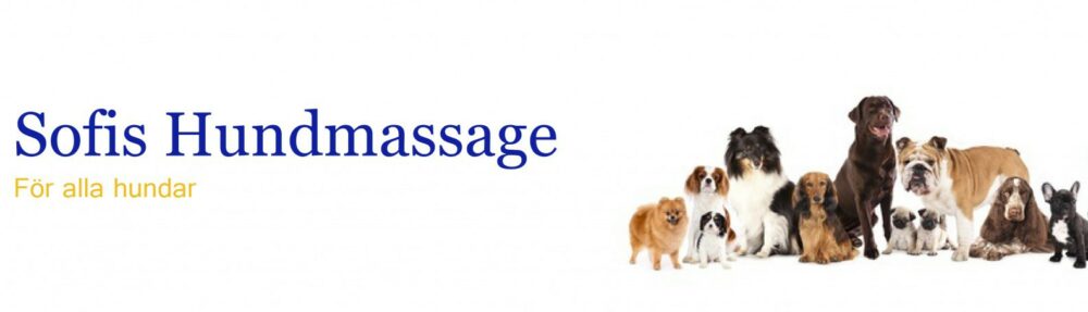 Sofis Hundmassage